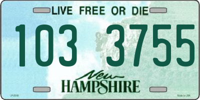 NH license plate 1033755