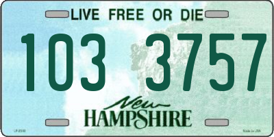 NH license plate 1033757