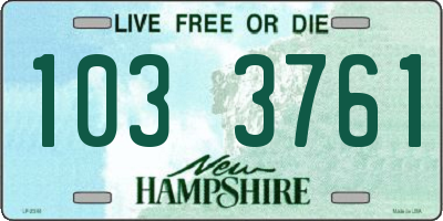 NH license plate 1033761