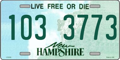 NH license plate 1033773
