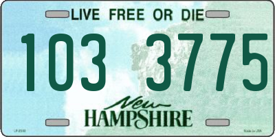NH license plate 1033775