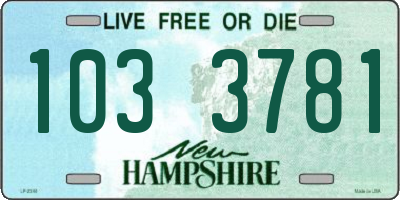 NH license plate 1033781