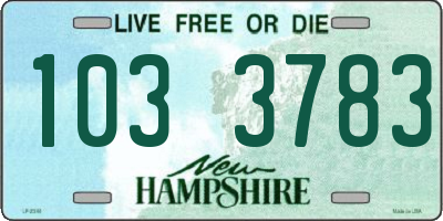 NH license plate 1033783