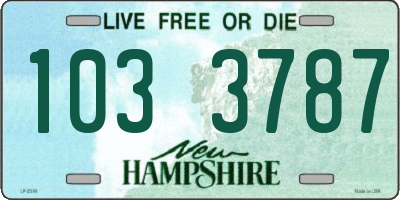 NH license plate 1033787