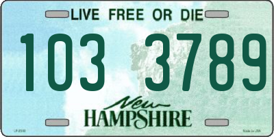 NH license plate 1033789