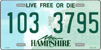 NH license plate 1033795