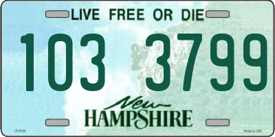 NH license plate 1033799
