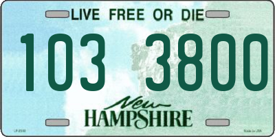 NH license plate 1033800