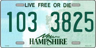 NH license plate 1033825