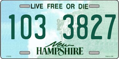 NH license plate 1033827