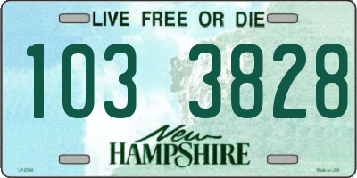 NH license plate 1033828