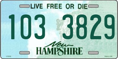 NH license plate 1033829