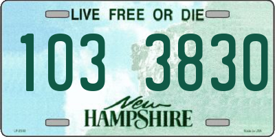 NH license plate 1033830