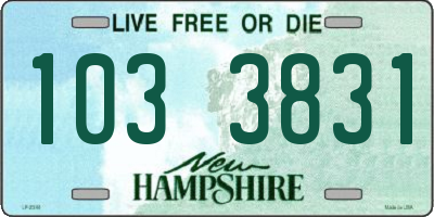NH license plate 1033831