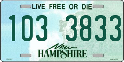 NH license plate 1033833