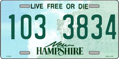 NH license plate 1033834