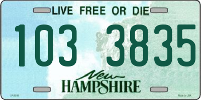 NH license plate 1033835