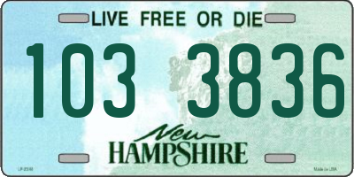 NH license plate 1033836