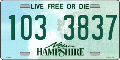 NH license plate 1033837