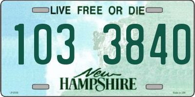 NH license plate 1033840