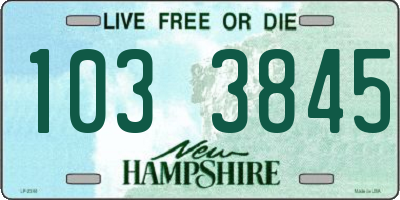 NH license plate 1033845