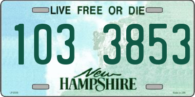 NH license plate 1033853