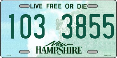 NH license plate 1033855