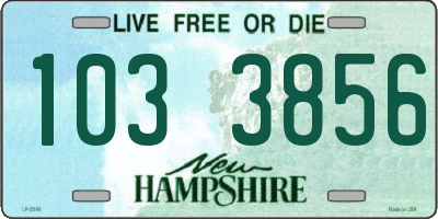 NH license plate 1033856