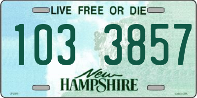 NH license plate 1033857