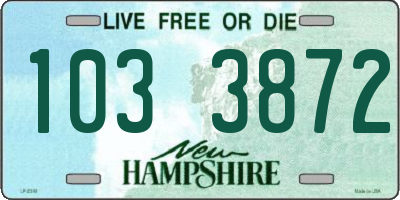 NH license plate 1033872