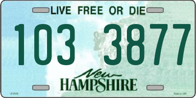 NH license plate 1033877