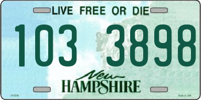 NH license plate 1033898