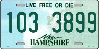 NH license plate 1033899