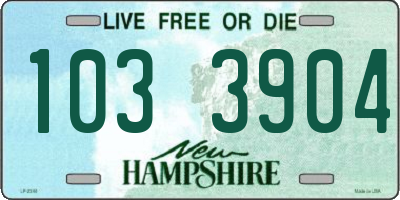 NH license plate 1033904