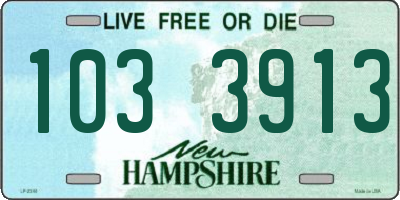 NH license plate 1033913