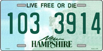 NH license plate 1033914