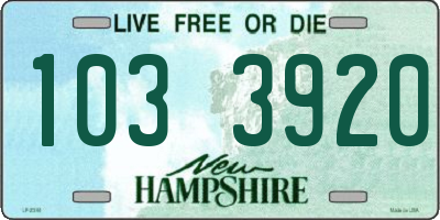 NH license plate 1033920