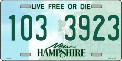 NH license plate 1033923