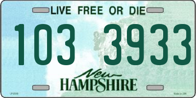 NH license plate 1033933