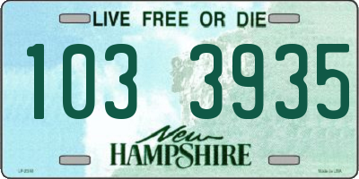 NH license plate 1033935