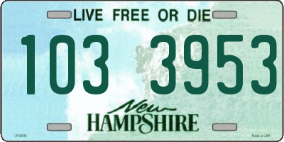 NH license plate 1033953