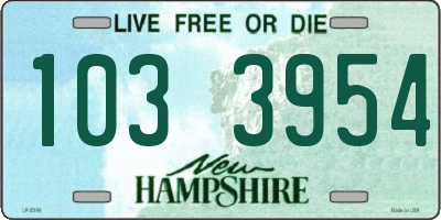NH license plate 1033954