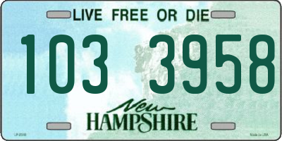 NH license plate 1033958