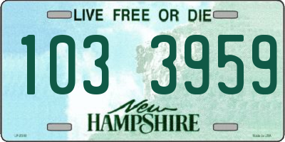 NH license plate 1033959