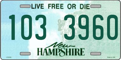 NH license plate 1033960