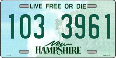 NH license plate 1033961