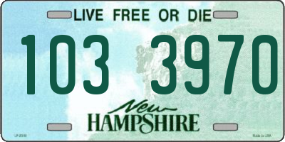 NH license plate 1033970