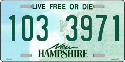 NH license plate 1033971