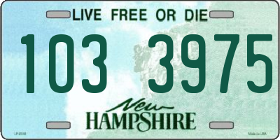 NH license plate 1033975