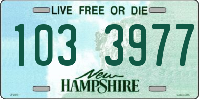 NH license plate 1033977